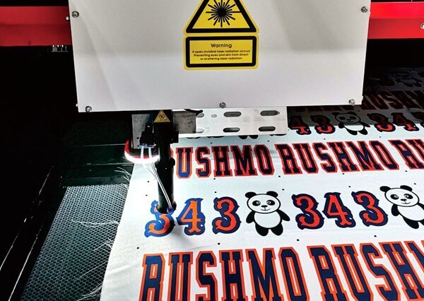 galvo laser with camera